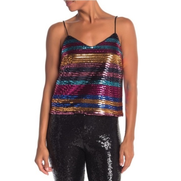 Wayf Tops - NWT WAYF M Colorful Sequin Stripe Camisole Tank